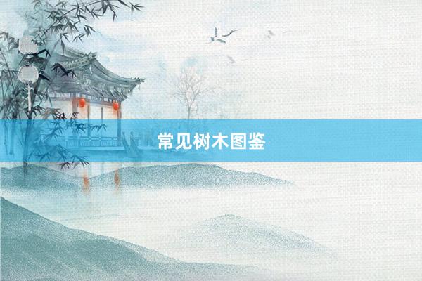 常见树木图鉴