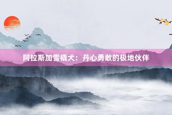 阿拉斯加雪橇犬：丹心勇敢的极地伙伴