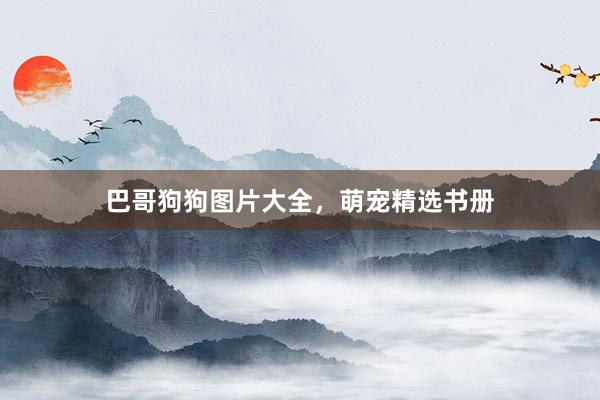 巴哥狗狗图片大全，萌宠精选书册