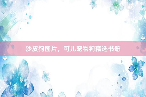 沙皮狗图片，可儿宠物狗精选书册